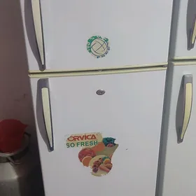 orvica