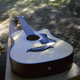 TAYSTE Akustik GITARA