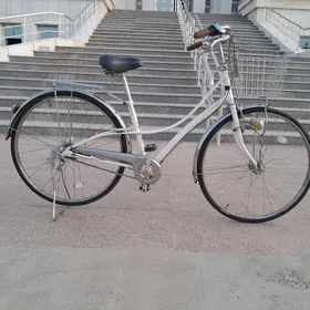 tigir 27lik