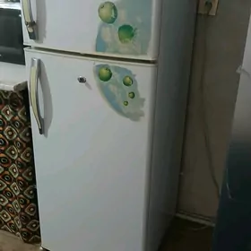 holadelnik alfa