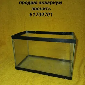 аквариум