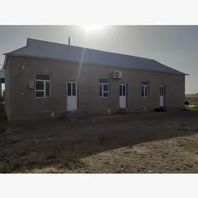 Leshozda jay