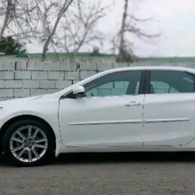 Camry diska pakrishka