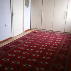 11 mkr