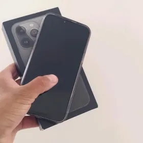 iPhone 13pro max