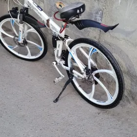 BMW TİGİR,