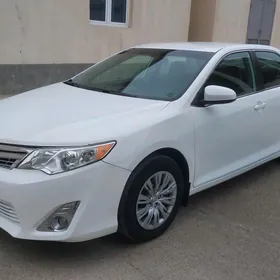 Toyota Camry 2014