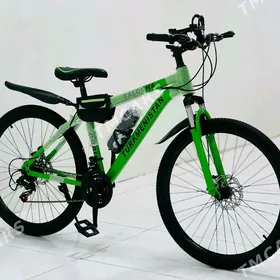 Turkmenistan tigir