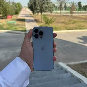 13pro