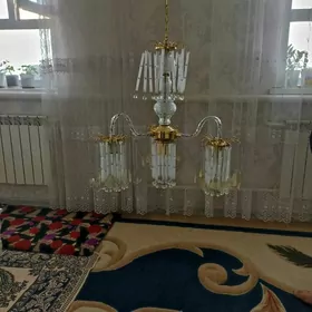 ЛЮСТРАЛАР