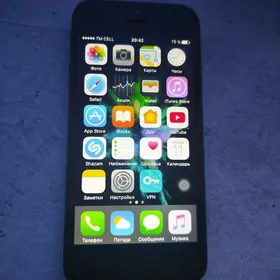 iPhone 5
