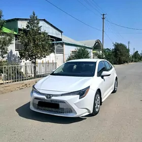 Toyota Corolla 2020