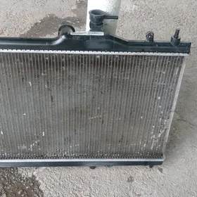 wersa radiyator 2009 2010