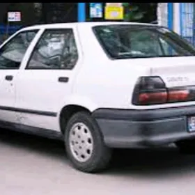 Renualt 19
