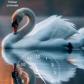 Redmi not 11 pro