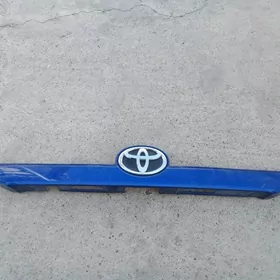 palta camry