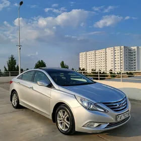 Hyundai Sonata 2010