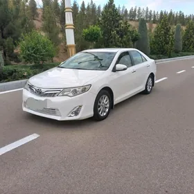 Toyota Camry 2013