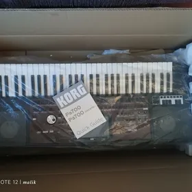 Korg Pa700 Oriental
