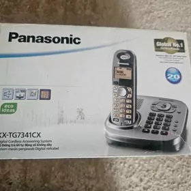 Panasonic