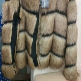 şuba