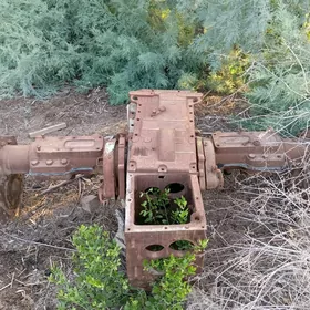 t-28 bartawoy