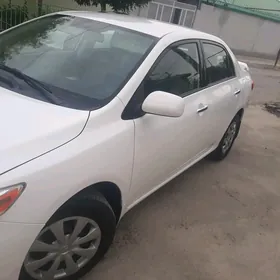 Toyota Corolla 2010