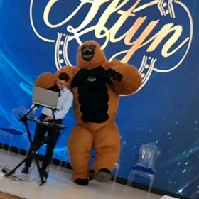 Gorilla miska Mishka animator