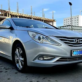 Hyundai Sonata 2010