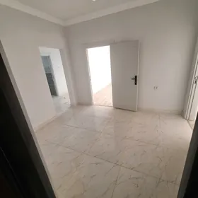 ÄNEW ARENDA TAZE