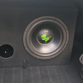 pioneer