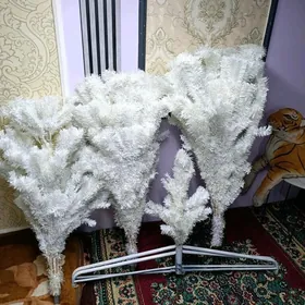 ýolka