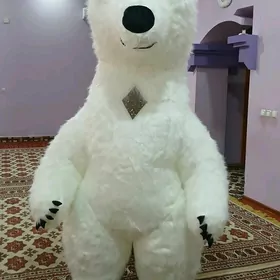 Ak Ayk
