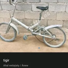 tigir