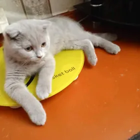 Скидка!!
