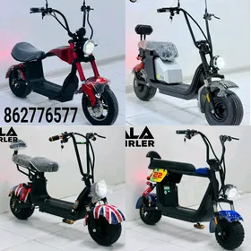 SAMAKAT TIGIR MATOR TOKLY TOP