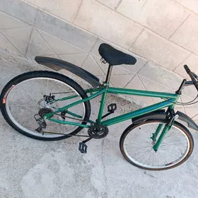 tigir Turkmenistan 26