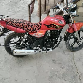 Fekon FK150-8G 2022