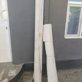 Linonim Lenonim Linonium