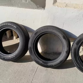 Pakryşka Radial