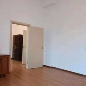 Т.Ц Аркач