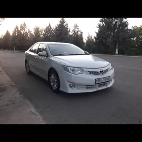 Toyota Camry 2013