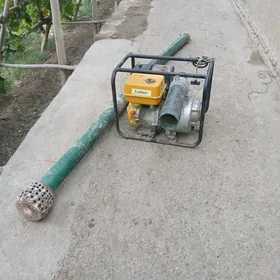 Nasos Pompa