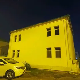Satlyk Coganly Arkac Kotej
