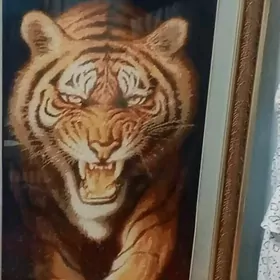 portret elde dokalan.