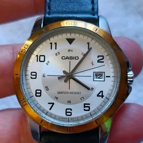 Sagat Часы Casio.