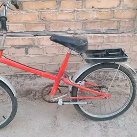 tigir welsopet kama 