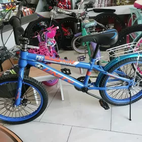welsepitler