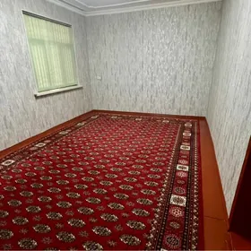 Änew Guneş mkr