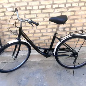 BOLD tigir 26lyk